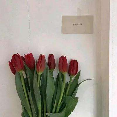 2023澳门管家婆资料正版大全手机app下载